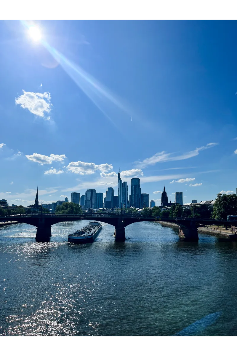 A view of Frankfurt Skyline from the distance.