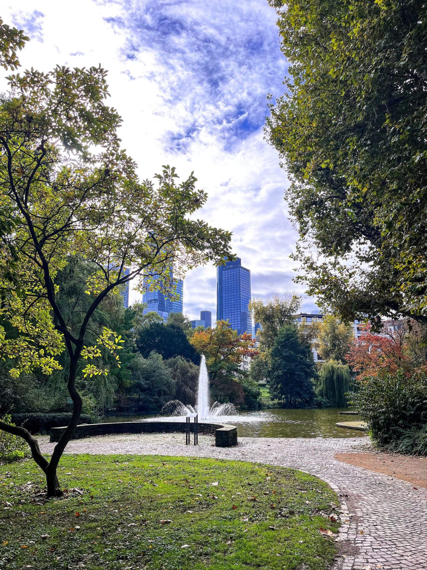 picture of a green trees, a pond and a tall buildings in the background. 
