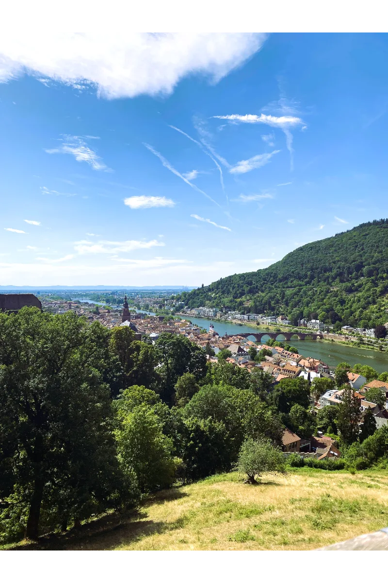 Picture of Heidelberg from distance.