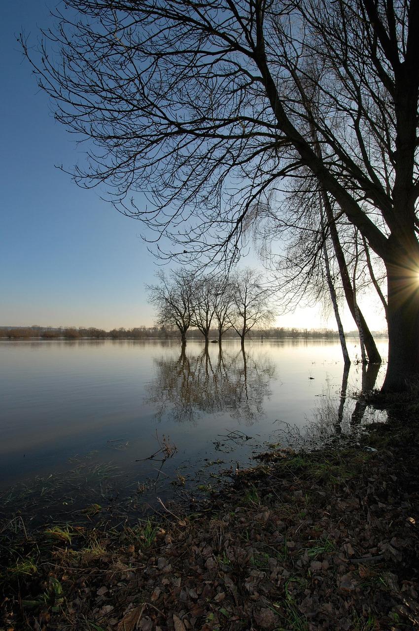 day trips from Frankfurt