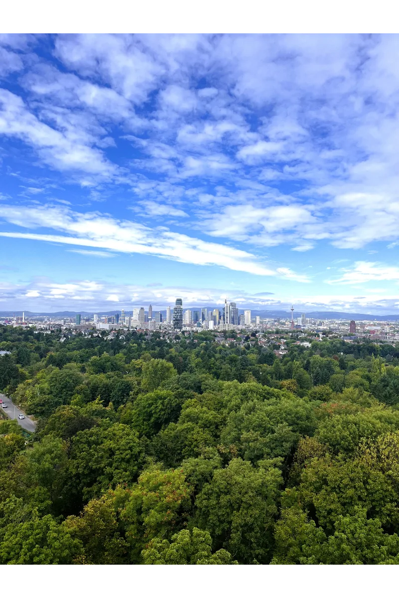Frankfurt Instagram Spots - Goethe Tower