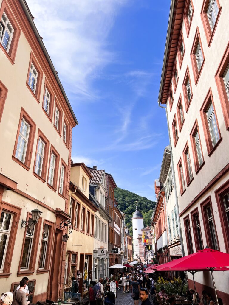 Things to Do in Heidelberg, in One Day