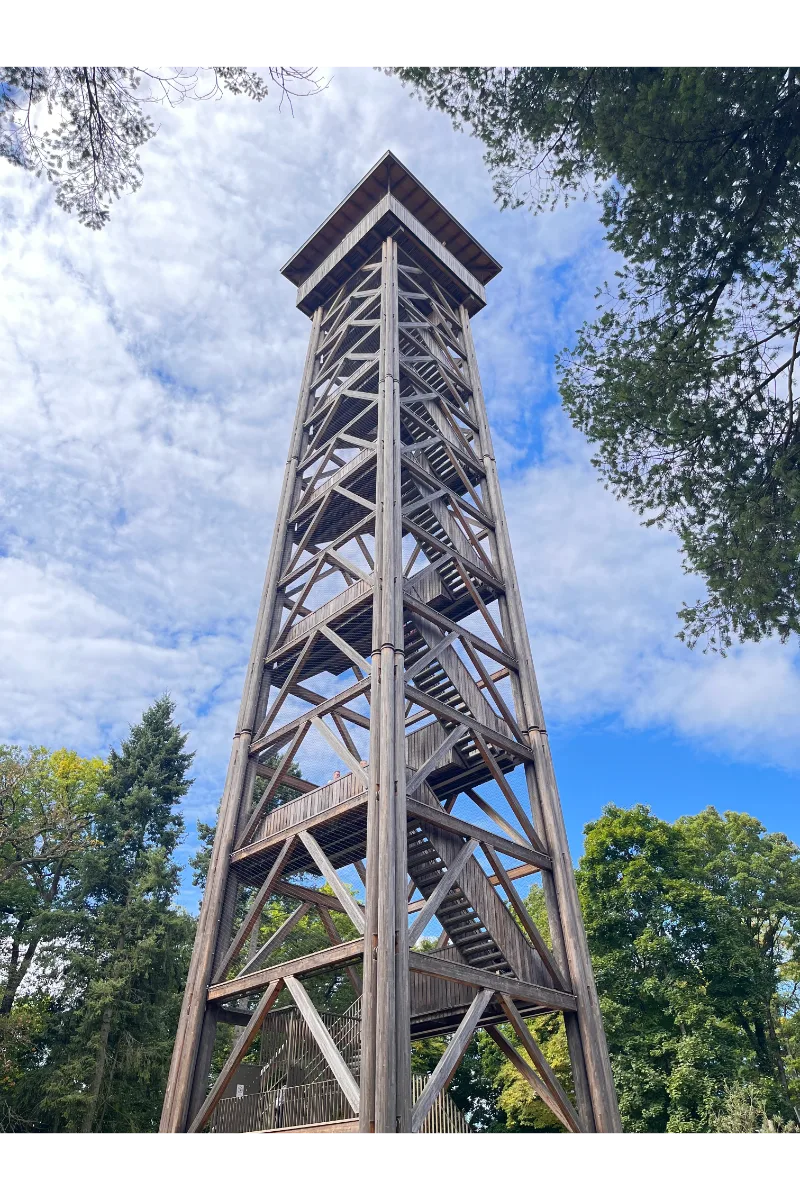 Picture of Goethe Tower