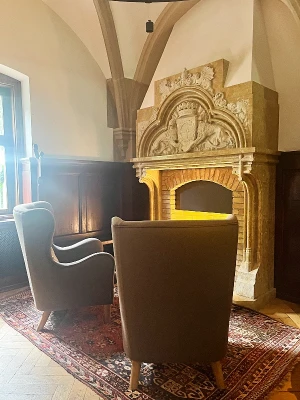 Cozy interior of Lieblings Café Frankfurt with bookshelves, fireplace, and villa garden seating