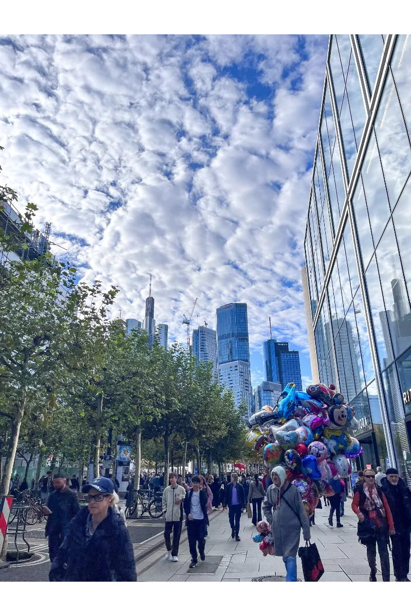 Frankfurt Christmas Market 2025 - Zeil Shopping Street