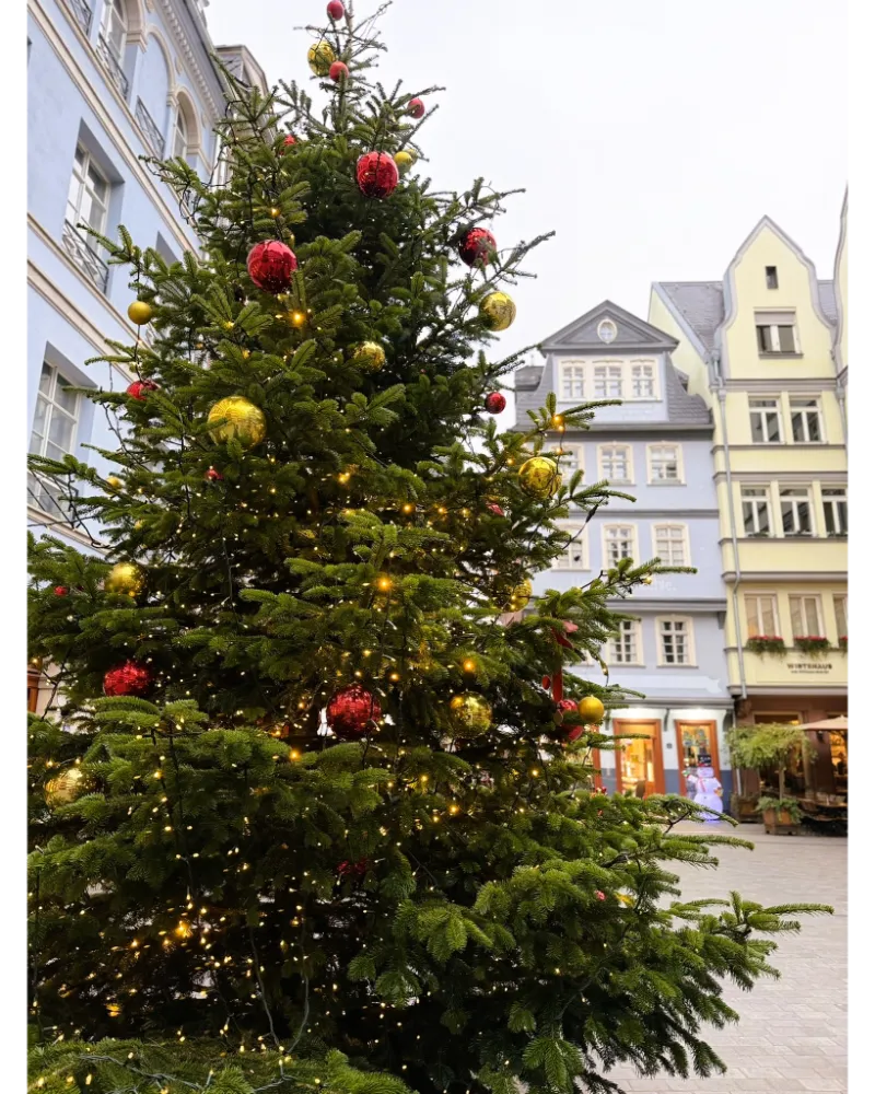 Frankfurt Christmas Market Food Guide.