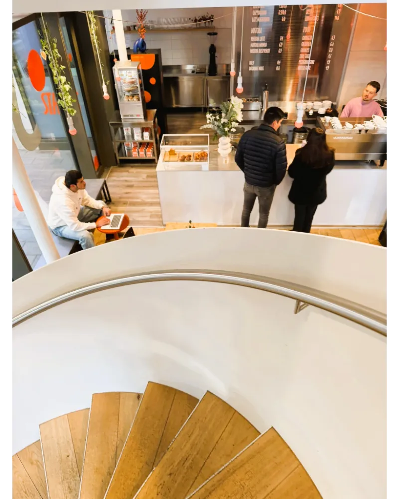 Quiet café in Frankfurt with a peaceful atmosphere, ideal for focused laptop work away from busy coffee chains.