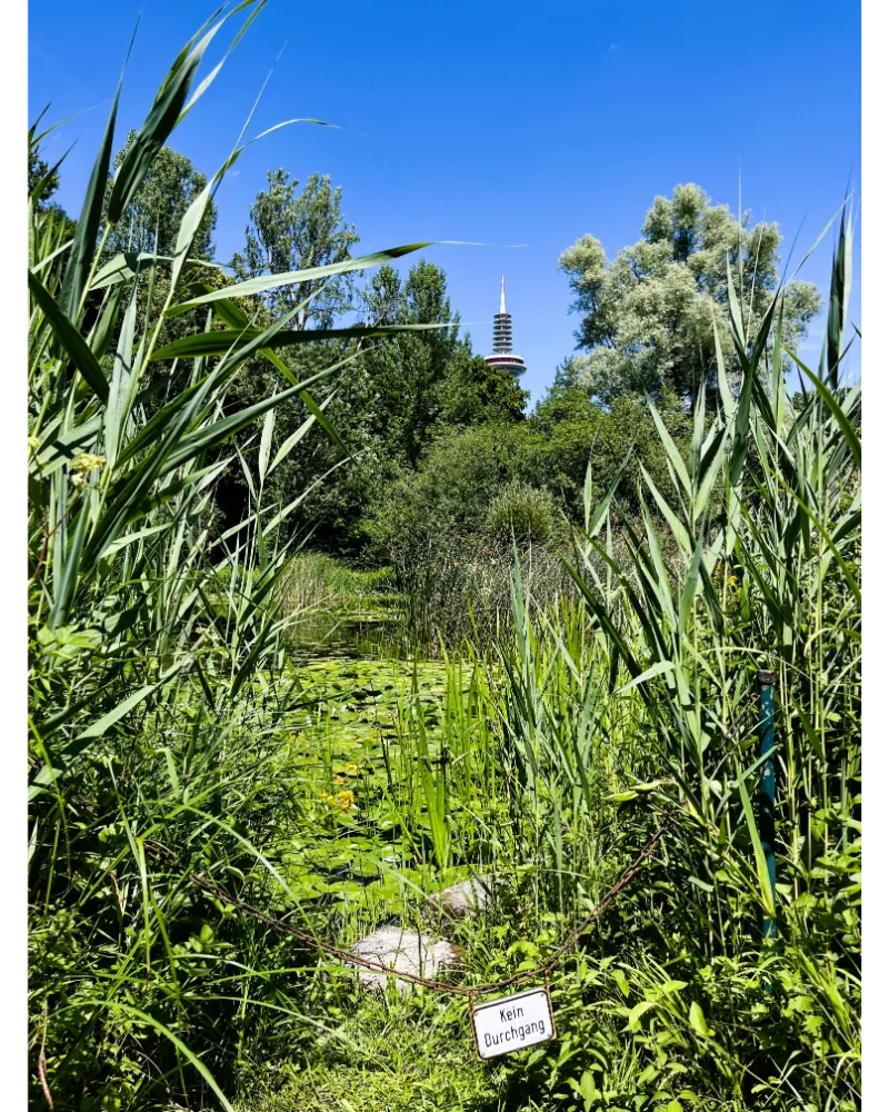 Botanical Garden in Frankfurt
