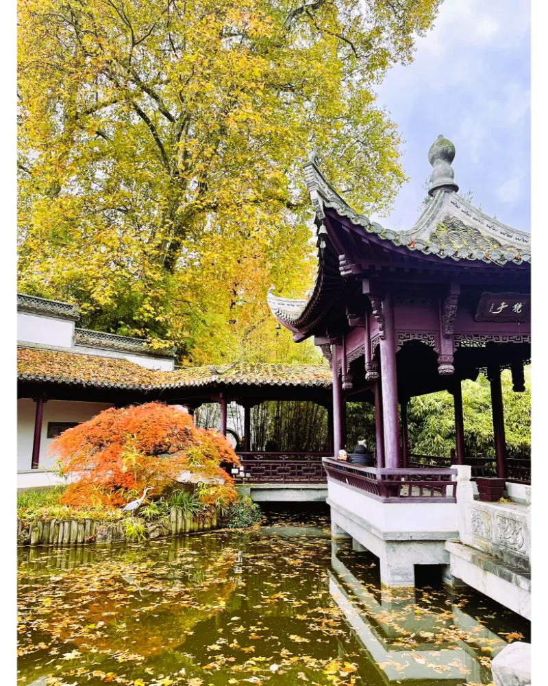 Chinese Garden in Frankfurt is a mandatory place to see on a Frankfurt Layover